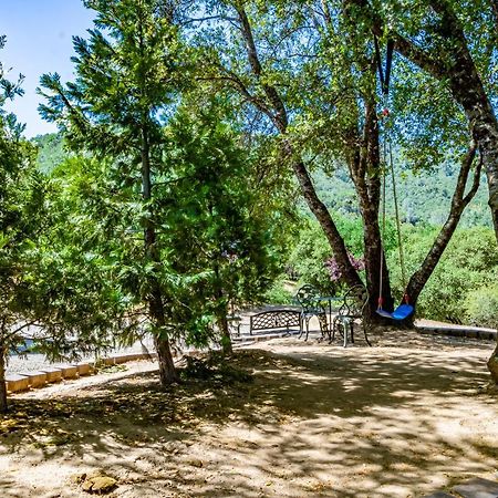 Spectacular Views W/ Hot Tub/Bbq -Yosemite & Bass Lake Oakhurst Ngoại thất bức ảnh