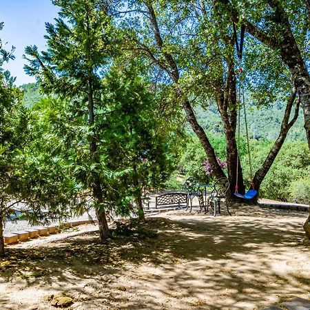 Spectacular Views W/ Hot Tub/Bbq -Yosemite & Bass Lake Villa Oakhurst Ngoại thất bức ảnh